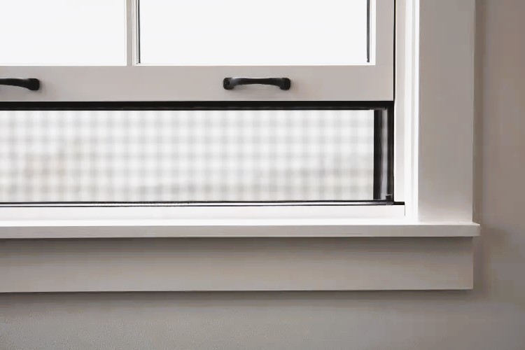 The Anatomy of Energy-Efficient Windows