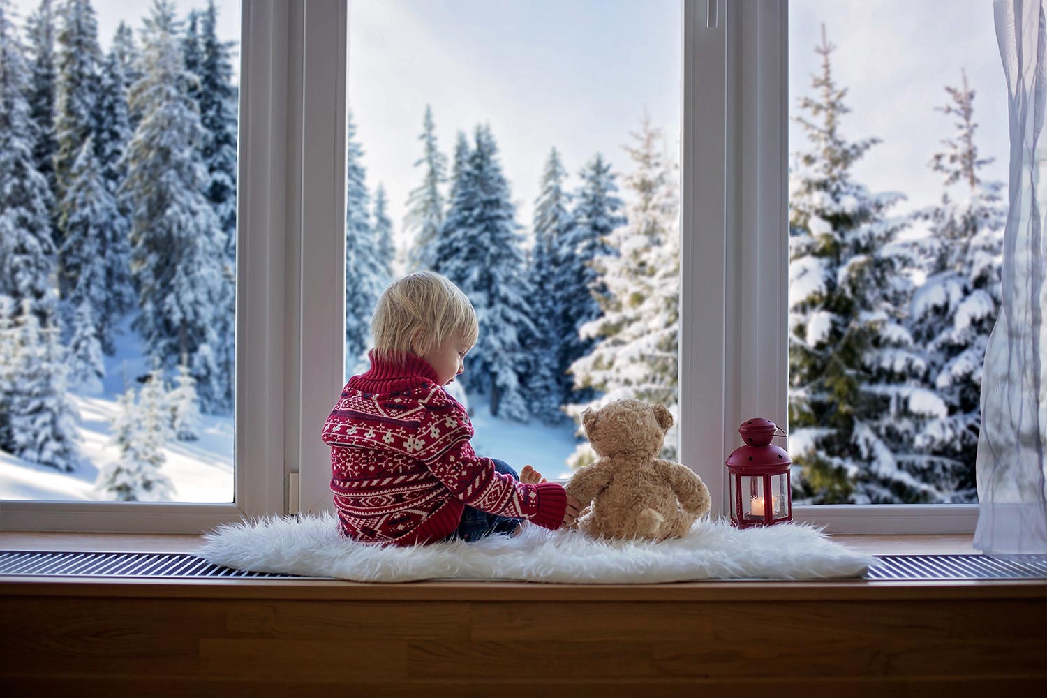 Energy-Efficient Windows for Canada: Top Picks for Cold Weather Comfort and Savings