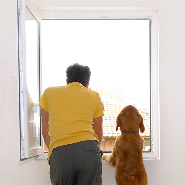 Man and dog looking outside through open home window